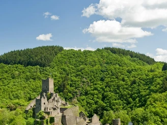 Niederburg Manderscheid