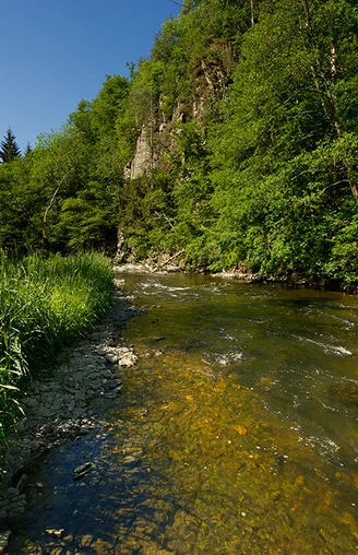 Die Our auf der Nat'Our Route 1 - Dreiländereck