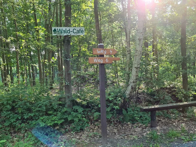 Weddingstedt Wanderweg 4