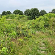 Weddingstedt Wanderweg 5