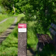 TERRA.track Ruller Bruch  Holzbank an einem sonnigen Waldweg, umgeben von üppigem Grün.