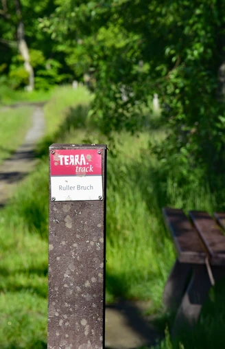 TERRA.track Ruller Bruch  Holzbank an einem sonnigen Waldweg, umgeben von üppigem Grün.