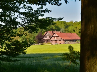 TERRA.track Ruller Bruch Fachwerkhaus umgeben von grünen Feldern und Bäumen in einer ländlichen Sommerlandschaft.