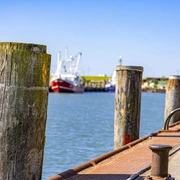 Dalben im Büsumer Hafen