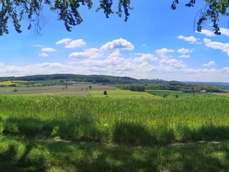 Aussicht am Westerberg (zwischen Kollerbeck und Schwalenberg) Weite, grüne Felder und sanfte Hügel erstrecken sich unter einem klaren, blauen Himmel.