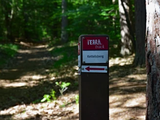 TERRA.track Kettelsberg Wegweiser zum Wanderpfad Kettelsberg im schattigen Wald mit umgebenden hohen Bäumen.