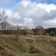 Blick vom Spiekerberg, St. Michaelisdonn