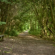 Brücke über die Oker mit Hohlweg und Bank in Schladen Brücke über die Oker mit Hohlweg und Bank in Schladen