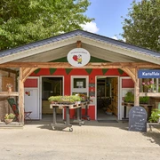 Hofladen Erdbeeren aus Schladen