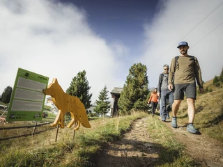 Foxtrail Desoria in der Aletsch Arena Foxtrail Desoria in der Aletsch Arena