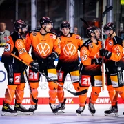Grizzlys Wolfsburg