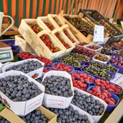 Erdbeerfeld Obsthof Halbhuber Erdbeerfeld Obsthof Halbhuber