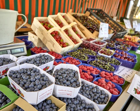 Erdbeerfeld Obsthof Halbhuber Erdbeerfeld Obsthof Halbhuber