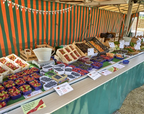 Erdbeerfeld Obsthof Halbhuber Erdbeerfeld Obsthof Halbhuber