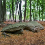 Teufels Backtrog, eines der zwei Steingräber in Belm-Vehrte - Foto_Klaus Herzmann-15-©Tourismusgesellschaft Osnabrücker Land.JPG Große Felsen in einem Laubwald im Teufelsmoor, umgeben von Bäumen und Laub auf dem Boden.