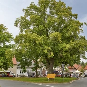 Markt Burgdorf Markt Burgdorf