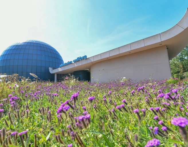 Planetarium Wolfsburg