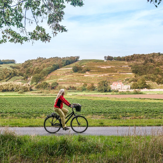 Radfahrerin-an-der-Elbe_TMGS-Achim-Meurer_DSC_3173.jpg