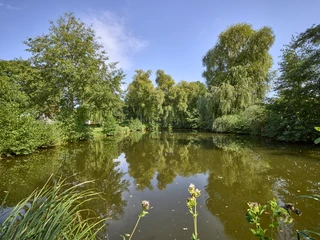 Ruhebank am Teich Cramme Ruhebank am Teich Cramme