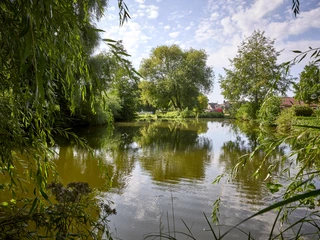 Ruhebank am Teich Cramme Ruhebank am Teich Cramme