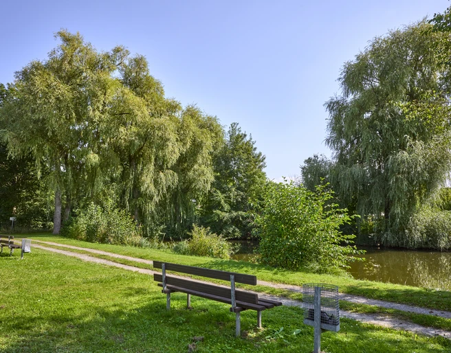 Ruhebank am Teich Cramme Ruhebank am Teich Cramme