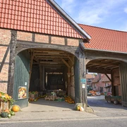 Kürbismeister Börßum Kürbismeister Börßum