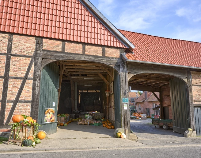 Kürbismeister Börßum Kürbismeister Börßum