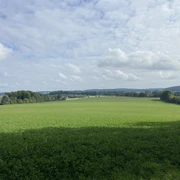 Blick vom Wald.jpeg Weite grüne Wiese unter bewölktem Himmel, umgeben von Bäumen und Hügeln in der Ferne.