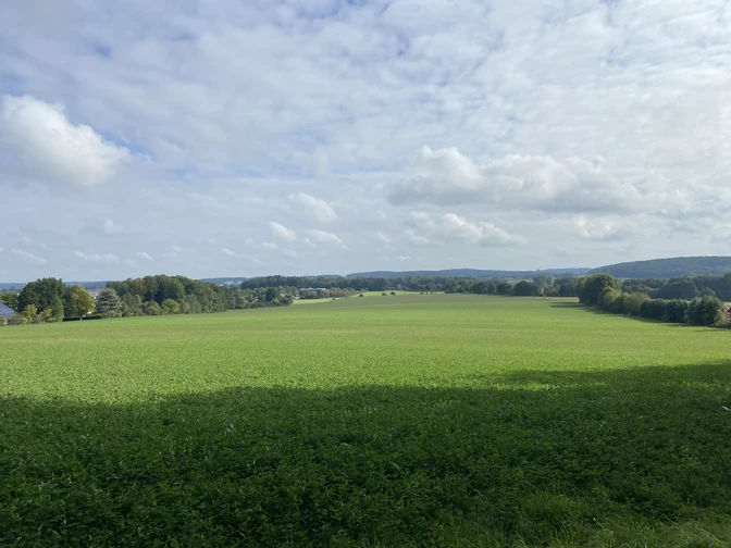 Blick vom Wald.jpeg Weite grüne Wiese unter bewölktem Himmel, umgeben von Bäumen und Hügeln in der Ferne.
