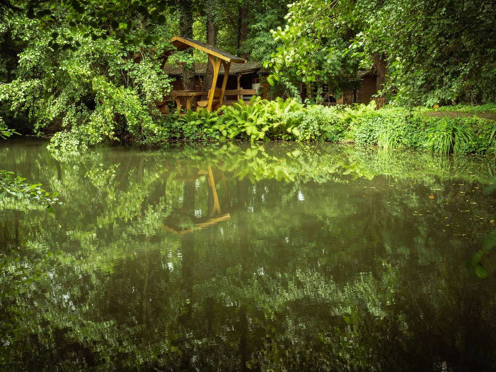LieblingsGruen_Naturcamp im Erlengrund Ein ruhiger Teich mit dichtem Blattwerk, überragt von einem Holzgebäude im Grünen in einem Naturcamp.
