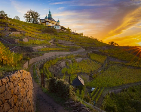 Radebeul_Spitzhaus_Weinberge3_Sonnenaufgang_SRoseFotografie.jpg