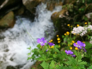 Wasserkessel Schleifmühlklamm
