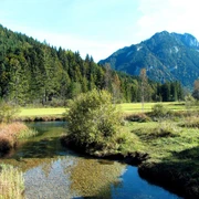 Ammerquellen im Graswangtal
