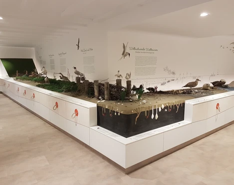 Landschaftsmodell Wattenmeer.jpg