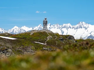 Steinadler auf dem Simplonpass Bild vom Steinadler auf dem SimplonpassPicture of the golden eagle on the Simplon PassPhoto de l'aigle royal au col du Simplon