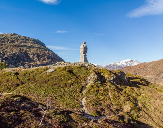 Steinadler auf dem Simplonpass Bild vom Steinadler auf dem SimplonpassPicture of the golden eagle on the Simplon PassPhoto de l'aigle royal au col du Simplon