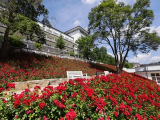 Rosenhang am Weinbrunnen.JPG