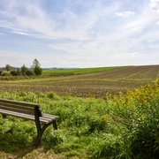 Ruhebank am Ortsrand Halchter Ruhebank am Ortsrand Halchter