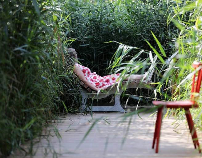 063HR - Bad Schwalbach - begehbares Moor.JPG