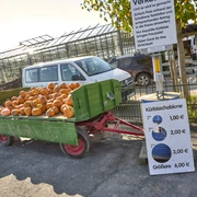 Kürbisverkauf Rollwage Baddeckenstedt Kürbisverkauf Rollwage Baddeckenstedt
