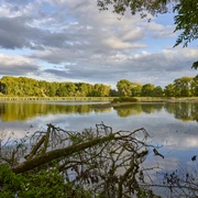 Weddeler Teich Weddeler Teich