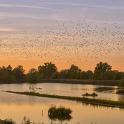 Schöppenstedter Teiche Bansleben Schöppenstedter Teiche Bansleben