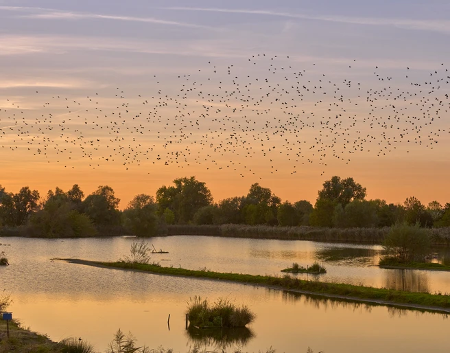 Schöppenstedter Teiche Bansleben Schöppenstedter Teiche Bansleben