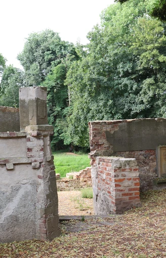 Ellerburg Ruinen der historischen Ellerburg mit verbliebenen Mauerresten, umgeben von dichtem Baumbestand.