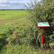 Erdwerk Wellie Eine rote Informationstafel steht am Feldrand, umgeben von Büschen und grüner Wiesenlandschaft.