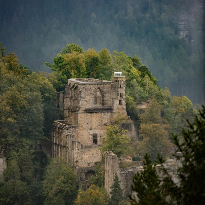 Punkt4_Oybin_Bergkloster_Nebel_Herbst_S.RoseFotografie.jpg