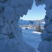 Winterlandschaft