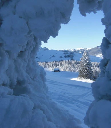 Winterlandschaft