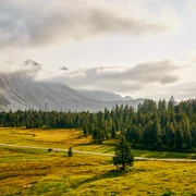 Der Wanderweg vorbei am Türndlimoos