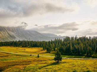 Der Wanderweg vorbei am Türndlimoos